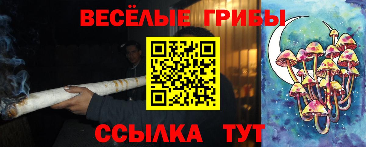 Новосибирск  Псилоцибиновые грибы мухоморы  Вход с VPN  Галлюциногенные грибы ЛСД 